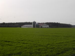 Montagebau Walser Bergatreute